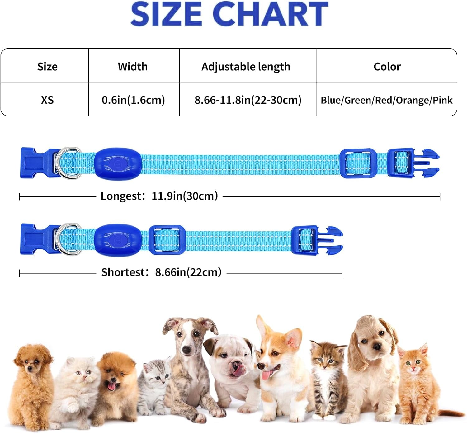 Light up Dog Collar for Small Dogs, Reflective LED Dog Collar Rechargeable Puppy Collar Glowing Cat Collars Safety Dog Lights for Night Walking (XS, Royal Blue)