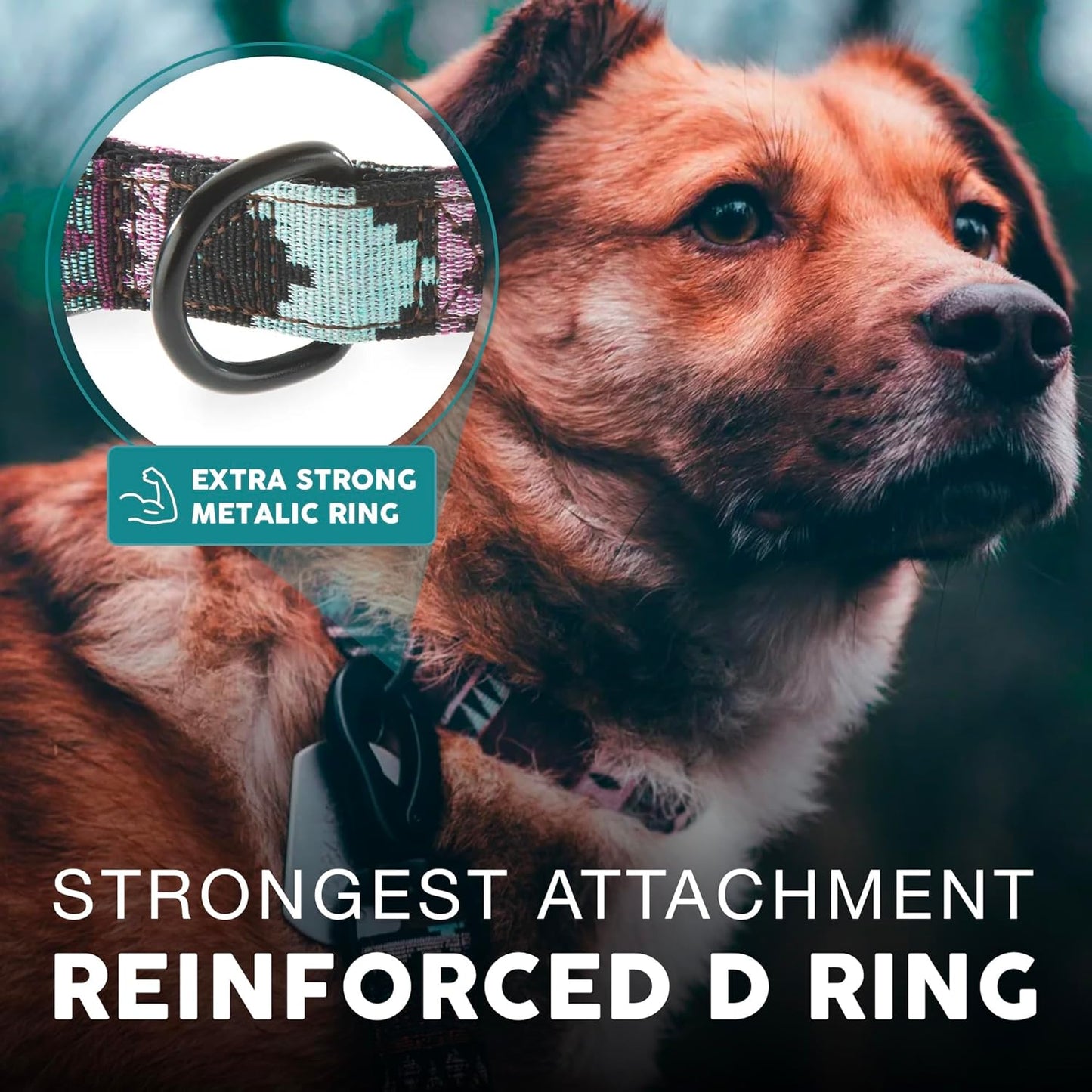 Embark Adventure Dog Collar – Stylish & Durable Nylon Dog Collars for Small Dogs, Comfortable Pet Collar, Small Dog Collars for Male & Female Dogs with Strong Buckles. Adjustable Small Dog Collars