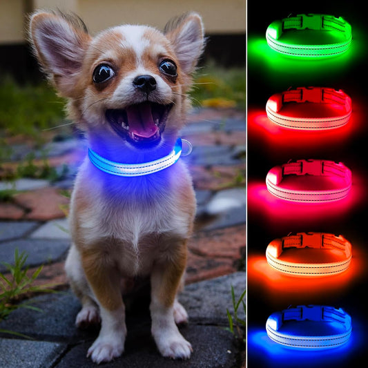 Light up Dog Collar for Small Dogs, Reflective LED Dog Collar Rechargeable Puppy Collar Glowing Cat Collars Safety Dog Lights for Night Walking (XS, Royal Blue)